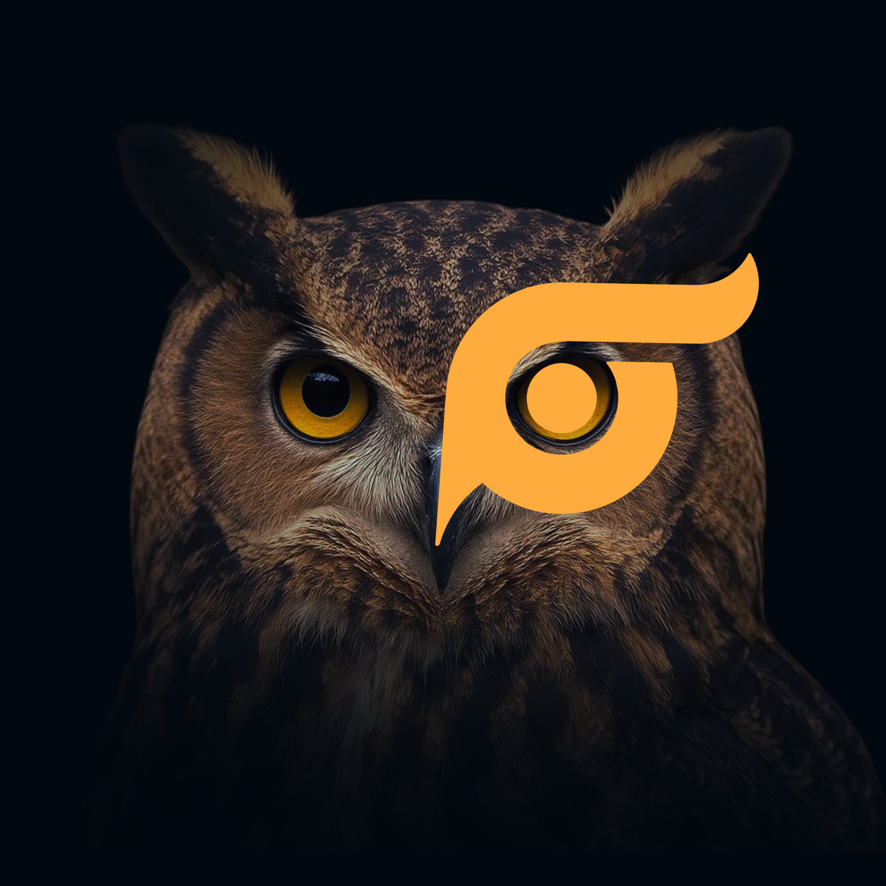 Coruja Noturna do Tyto Studio